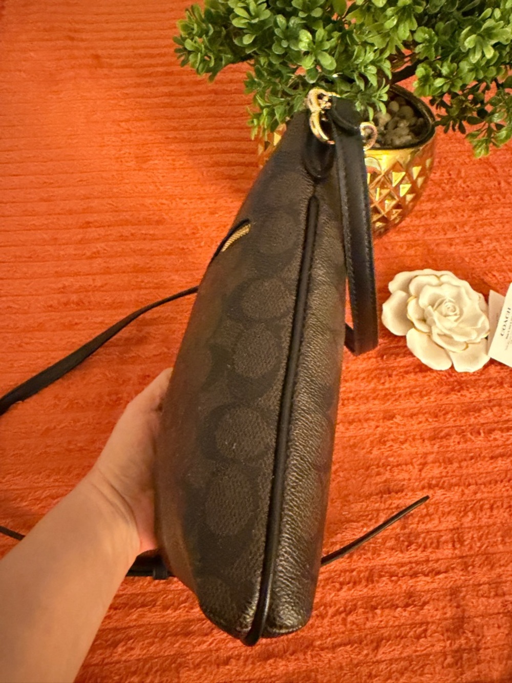 Coach Brown Signature Crossbody with Cherry Charm - Picture 15 of 16